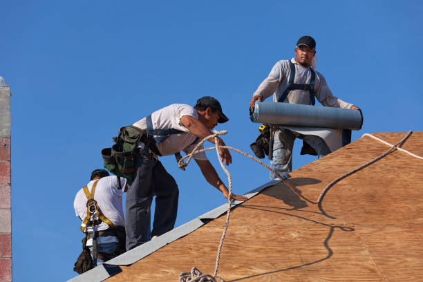 Quick and Trustworthy Emergency Roof Repair Services in Sylvester, GA